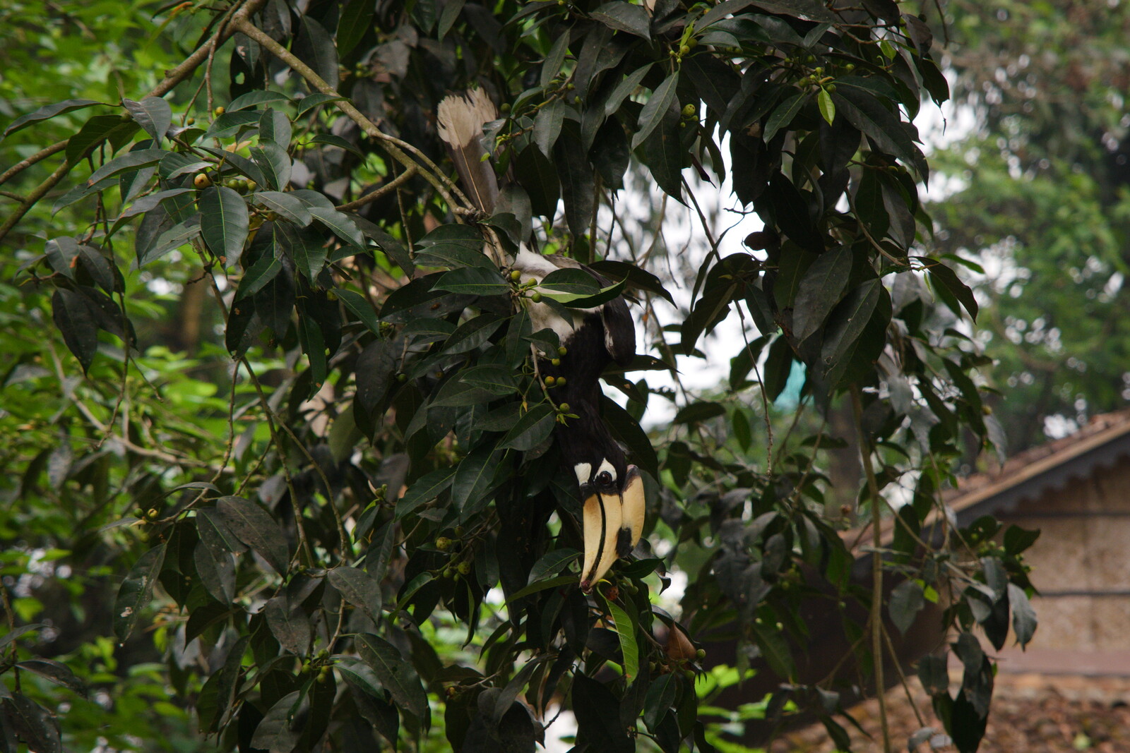 DSCF9187.jpg