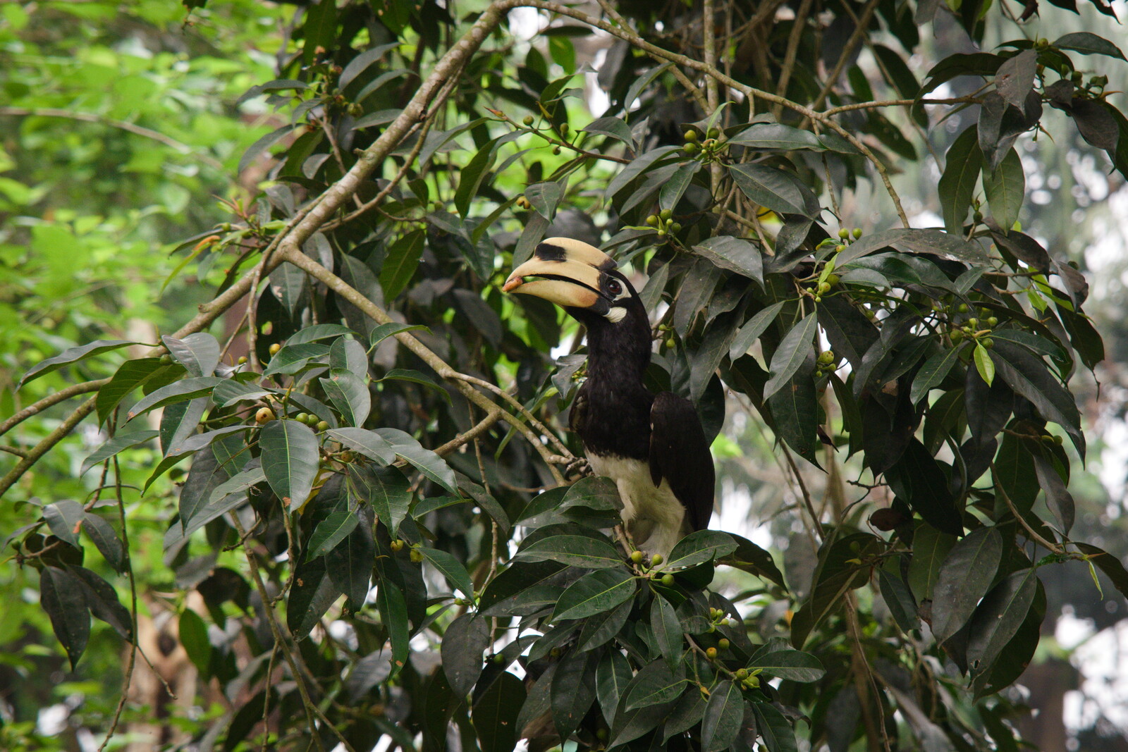 DSCF9190.jpg