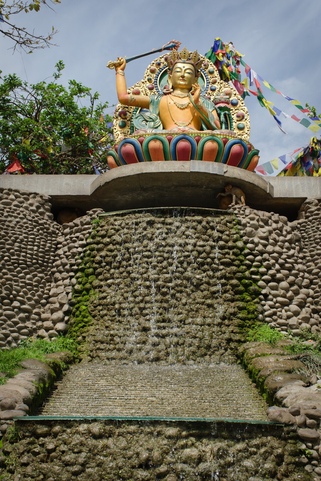 DSCF9216.jpg