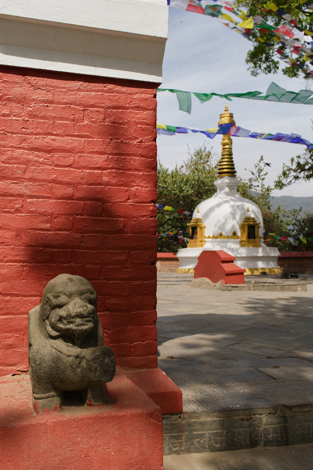 DSCF9227.jpg