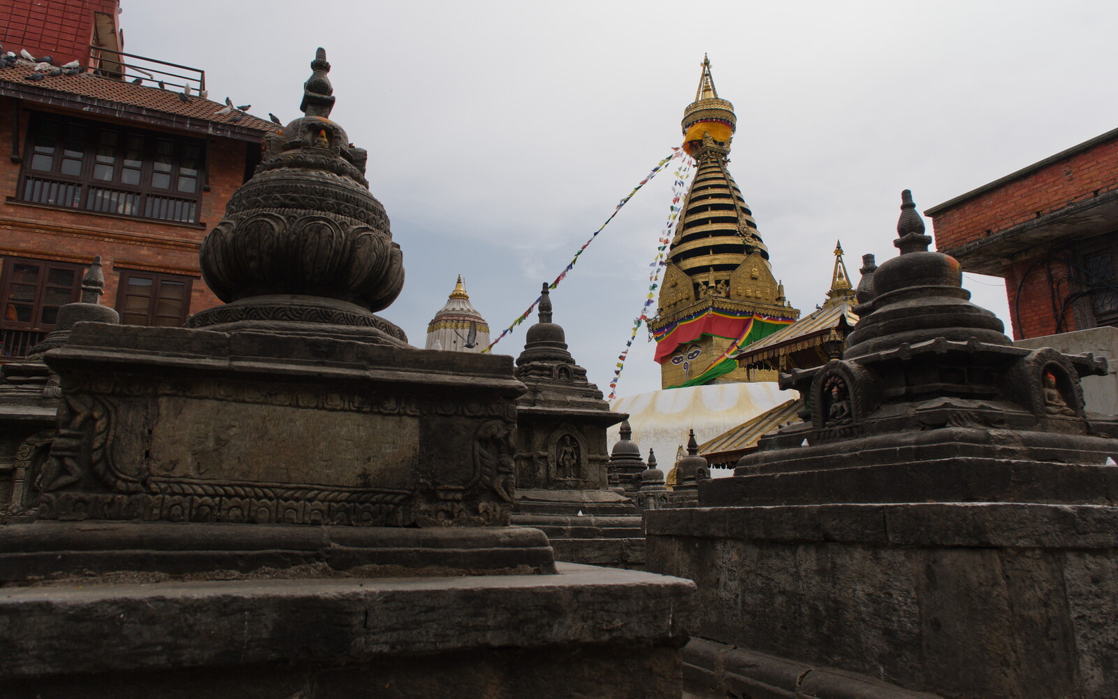 DSCF9273.jpg