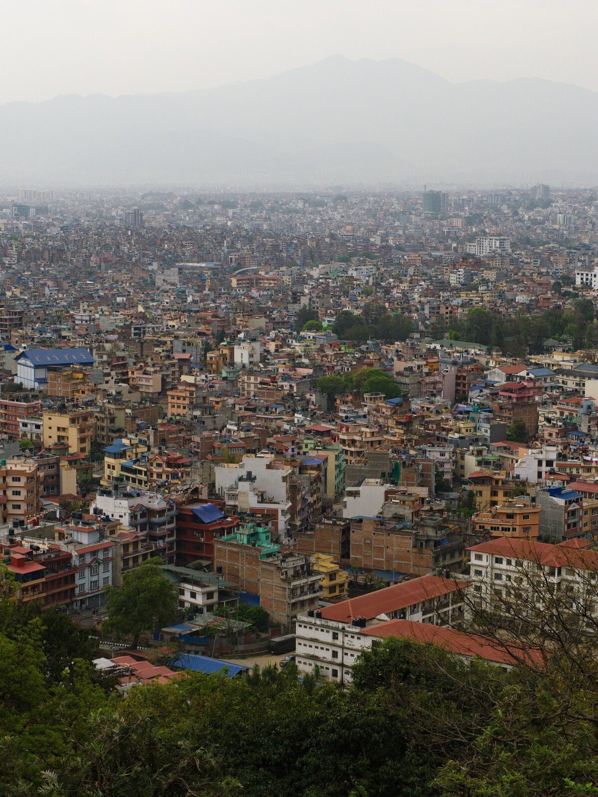 DSCF9290.jpg